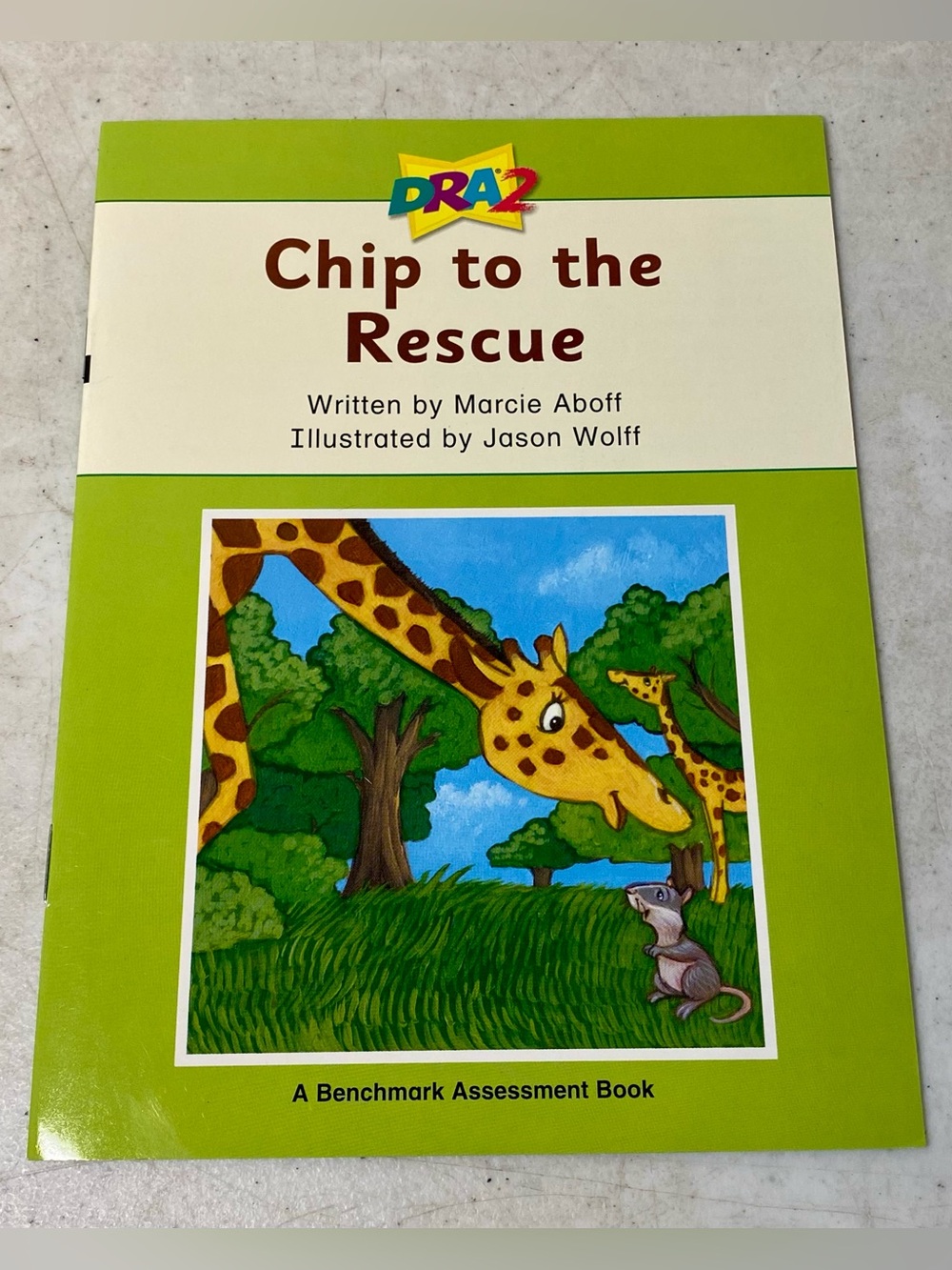 Chip to the Rescue (A Benchmark Assessment Book Level 16) - Paperback -Very Good